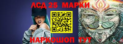 индика Жуковский