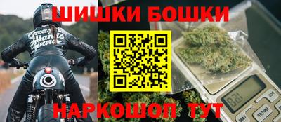 индика Жуковский