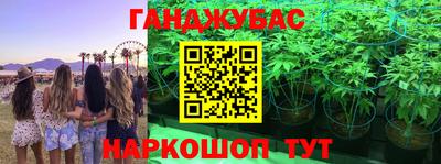 амф Заволжье
