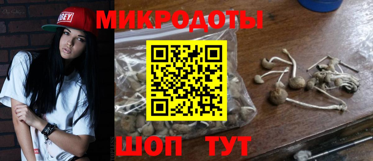 Кимовск  Галлюциногенные грибы Magic Shrooms  Вход с VPN  даркнет сайт  Галлюциногенные грибы Cubensis 